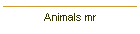 Animals mr