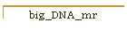 big_DNA_mr