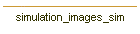 simulation_images_sim